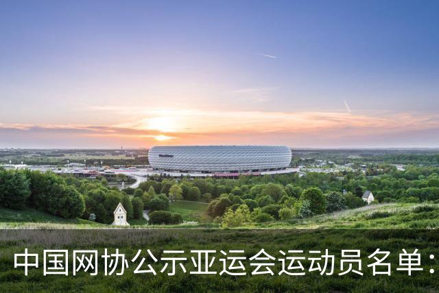 中国网协公示亚运会运动员名单：郑钦文张之臻均不参赛